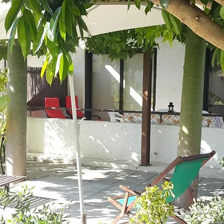 Near The Aparment With Garden Apartment