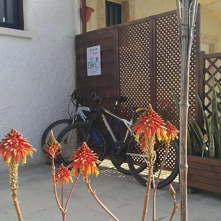 Near The Aparment With Garden Apartment *