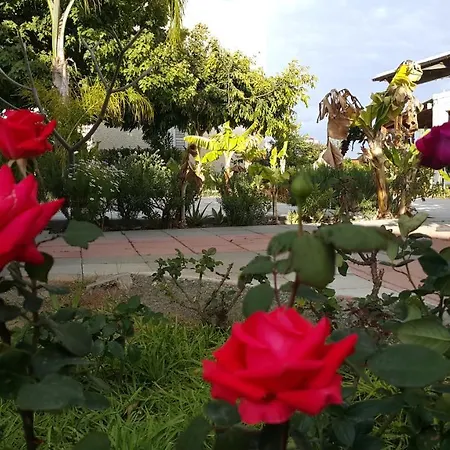 Near The Aparment With Garden *
