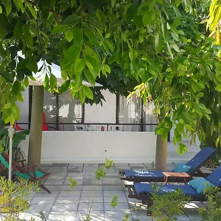 Near The Aparment With Garden