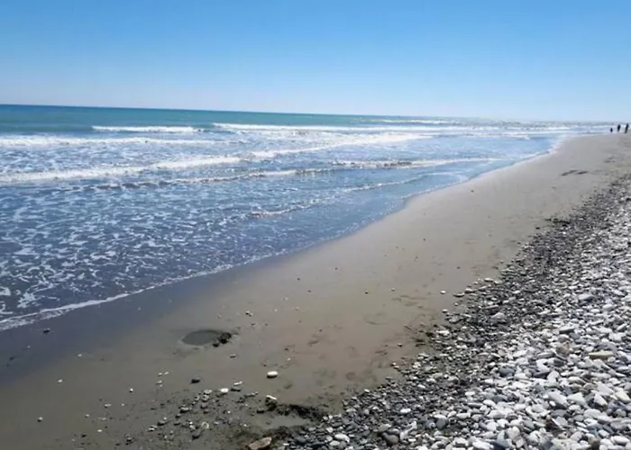 Apartament Near The Aparment With Garden