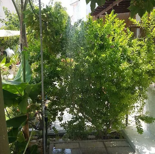 Near The Aparment With Garden * Periwolia