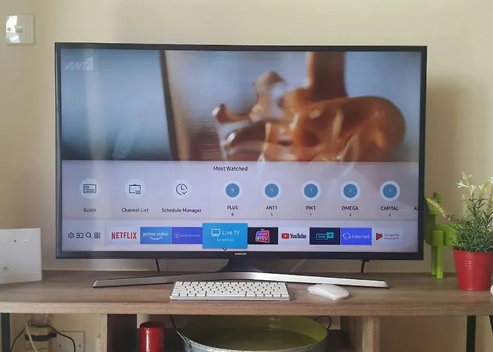 Near The Aparment With Garden