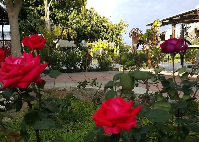 Near The Aparment With Garden *