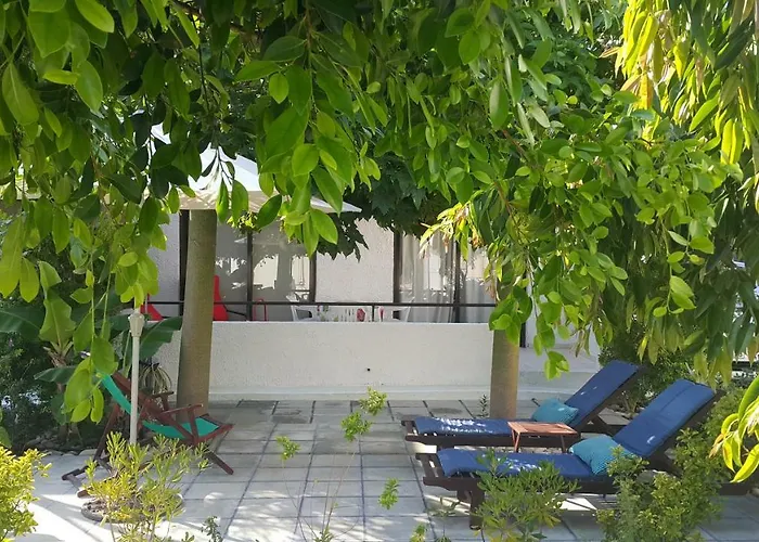 Near The Aparment With Garden